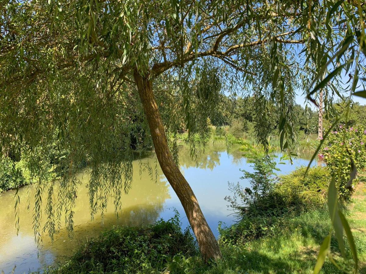 La Maison Rouzies La Bastide-l'Eveque Экстерьер фото